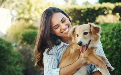 Beacon Featured on I Love the Burg as St. Pete’s Only 24/7 Vet Clinic