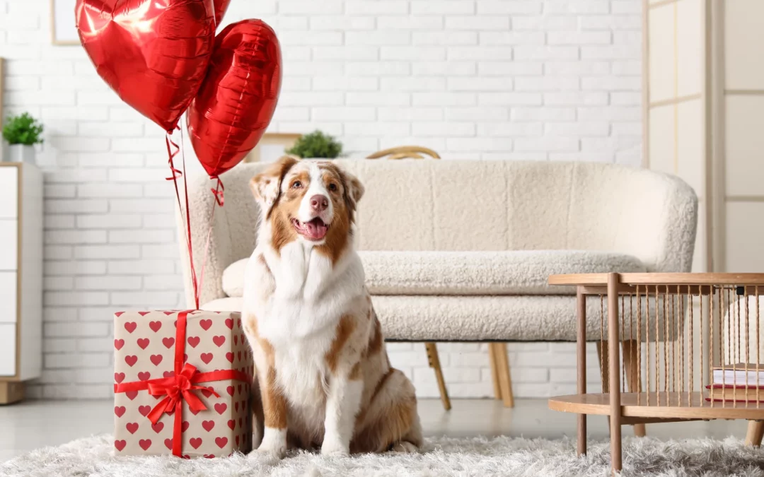 New, Innovative Canine Parvovirus Treatment Available at Beacon